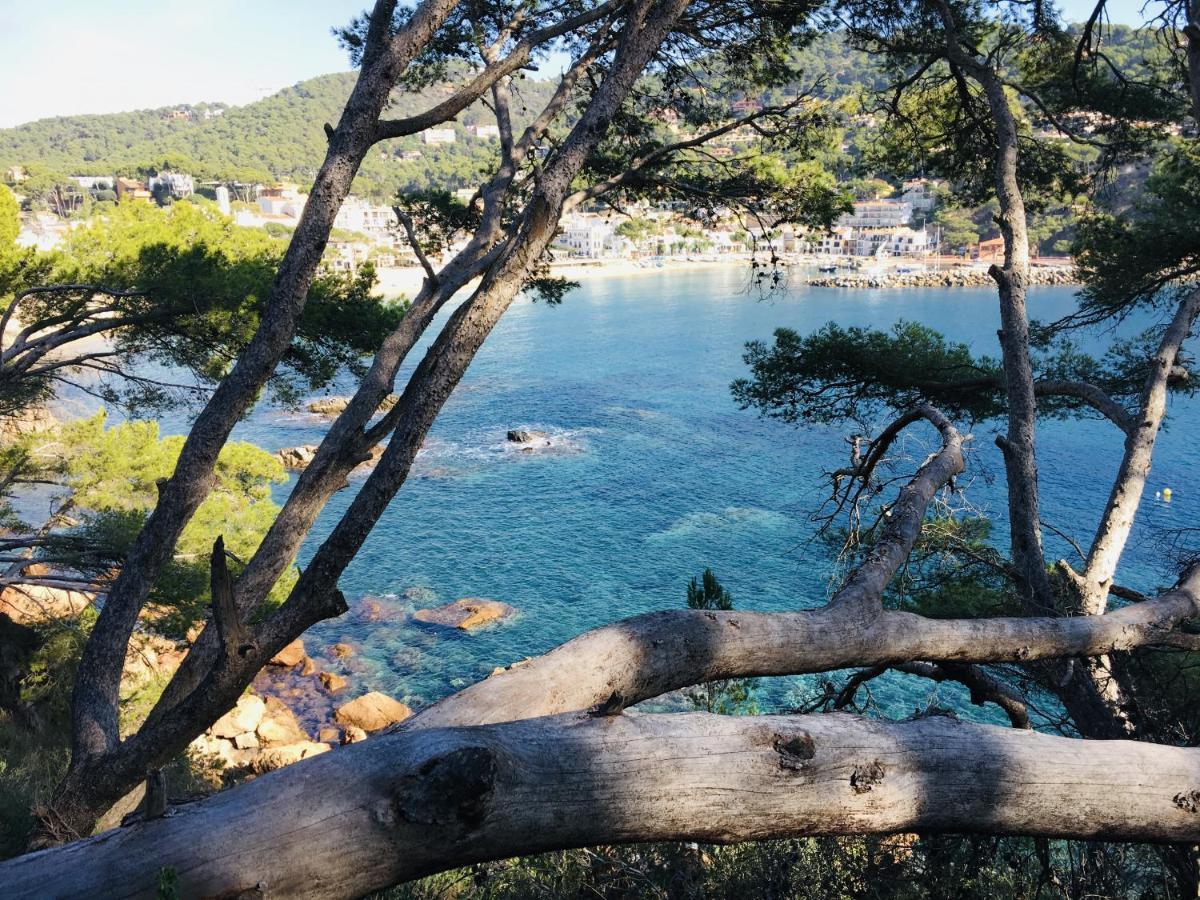 Apartament Costa Brava E-4 Calella De Palafrugell